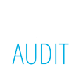 Sys Audit